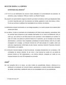 INDUCCIÓN GENERAL A LA EMPRESA ESTRATEGIA DEL NEGOCIO