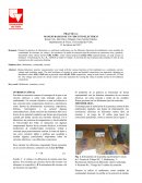 PRACTICA 1. MANEJO BASICO DE UN CIRCUITO ELECTRICO