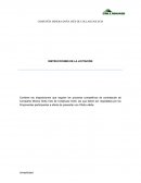 COMPAÑÍA MINERA DOÑA INÉS DE COLLAHUASI SCM