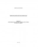 PROYECTO “REFUERZO DE AGUA POTABLE CAMINO LAGUNA NEGRA SECTOR SAN GABRIEL”