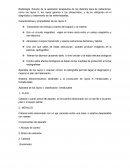 Radiologia