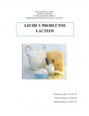 Leche y Productos Lacteos