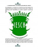 ORGANIZACIONES Y ACTIVIDADES AUXILIARES DEL CREDITO