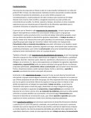 Fundamentacion esquema