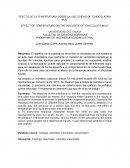 EFECTO DE LA TEMPERATURA SOBRE LA VISCOSIDAD DE "CHOCOLATINA MUU"
