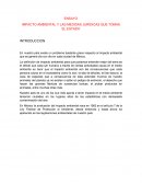 IMPACTO AMBIENTAL Y LAS MEDIDAS JURIDICAS QUE TOMAS EL ESTADO