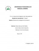ESTUDIO DE MERCADO CUANTITATIVO ‘‘Choklad’’