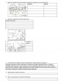 EVALUACION ECOSISTEMAS