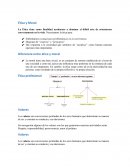 Ética y Moral. Diferencia entre ética y moral