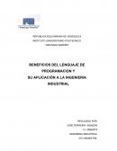 IMPORTANCIA DE LOS LENGUAJES DE PROGRAMACION EN LA INGENIERIA INDUSTRIAL