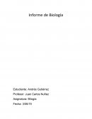 ¿Que son la Trisomías?