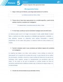 MIS ARGUMENTOS FINALES