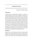 ELABORACIÓN DE MAICENA