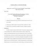 Fenómenos físicos y construcción del cañón