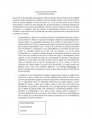 Evolución de los seres humanos (Austrolopithecus Garhi)