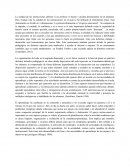 Ensayo Competencias. La calidad de las interacciones