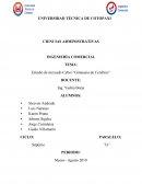 Estudio de mercado Cyber “Gimnasio de Cerebros”