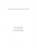 EVOLUCIÓN DE LOS OPERADORES LOGÍSTICOS EN COLOMBIA
