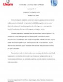 Asignatura: Investigación social Análisis de los datos