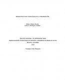 INFRAESTRUCTURA TECNOLÓGICA DE LA ORGANIZACIÓN