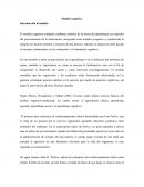 El modelo cognitivo-condutal