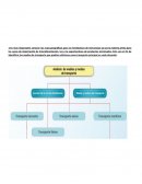 Desarrollo practica transporte Internacional Interalimentacion SA