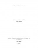 Ensayo de la obra pedro páramo