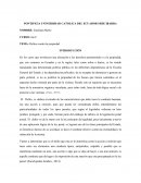 Delitos Contra la Propiedad