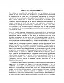 Resumen de libro extradición