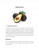 Aguacate Hass