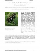 Información bibliográfica- Rana flecha (Dendrobates truncatus)