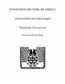 Desarrollo psicosocial ¿Qué papel desempeña la búsqueda y la construcción de identidad en el desarrollo psicosocial?
