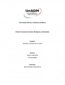 Resolución de ecuaciones por Gauss