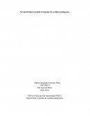 Normatividad asociada al manejo de residuos peligrosos