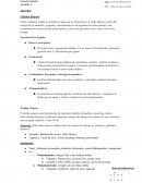 BIOLOGIA Lípidos-Repaso