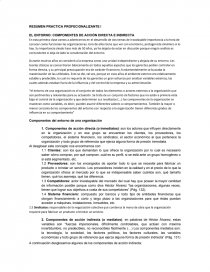 RESUMEN PRACTICA PROFECIONALIZANTE I EL ENTORNO: COMPONENTES DE ACCIÓN DIRECTA E INDIRECTA. Página 1