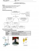 Trabajo de laboratorio Fisico quimica