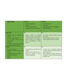 Proyecto de nuevo producto