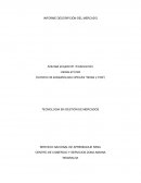 INFORME DESCRIPCION DEL MERCADO Actividad proyecto #1. Evidencia foro Llantas el Crisol
