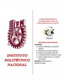 Practica concentracion de esfuerzos