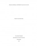 Estructura metodológica y factibilidad de los proyectos de inversión