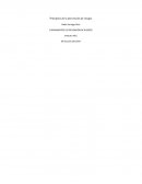 FUNDAMENTOS DE PREVENCIÓN DE RIESGOS