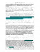 Gracia Soberana - Doctrinas de la gracia