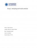 Ensayo: antropología del medio ambiente