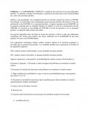 Problema 1. La GOBERBROKE COMPANY