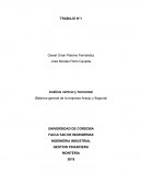 Análisis vertical y horizontal (Balance general de la empresa Araujo y Segovia)
