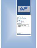 Clasificadores (KNN) y Native Bayers