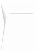 EVASION FISCAL (TESIS)