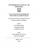 Determinación de los parámetros tecnológicos para la elaboración de snack a partir de zapallo