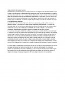 Viaje al interior del cuerpo humano